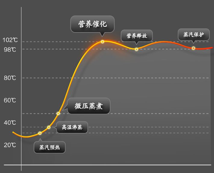 炖锅煲菜各种做法,煮饭煲汤电砂锅