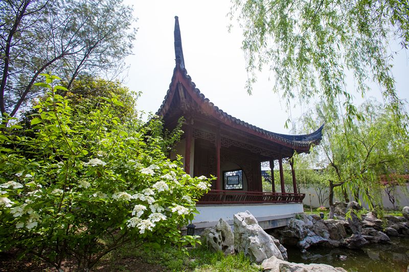 苏州不要钱的景点推荐,苏州值得一去的8处免费景区