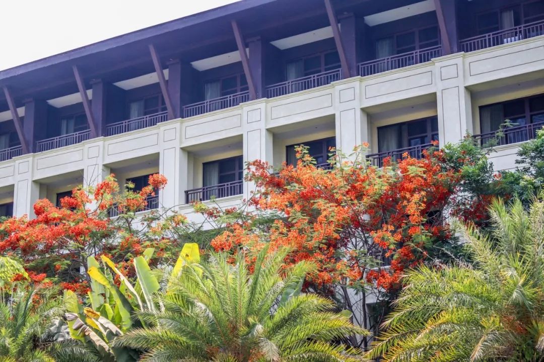 希尔顿最值得购买的酒店,云南丽江晶玺希尔顿酒店