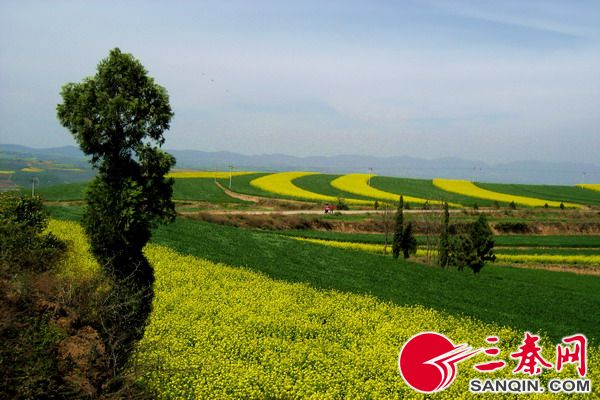 环境整治打造美丽乡村新名片,村社人居环境整治