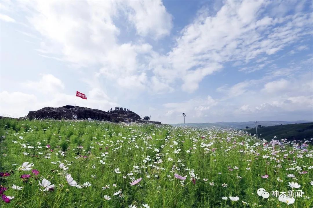 端午节你不知道的菜单,端午节必须做的三件事