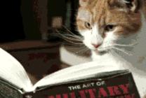 全球最美的书店在西安,全球最美书店内部