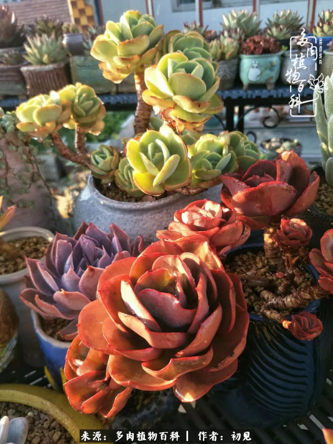 紧张的高三生活也需要适度的放松,紧张焦虑高考