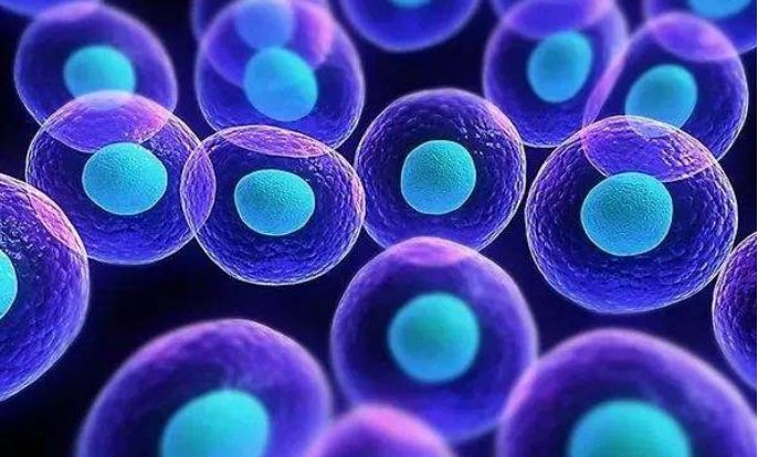 中国干细胞治疗最新进展,干细胞治疗在我国目前的状况