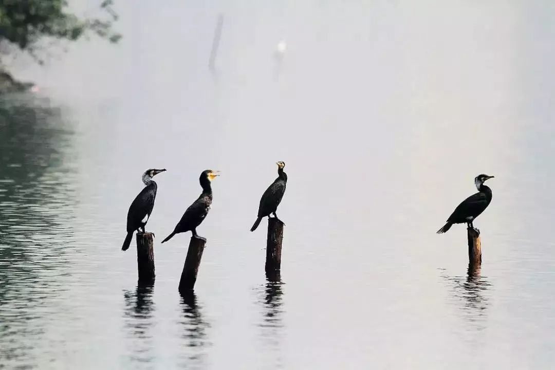 厦门适合带孩子去玩的地方推荐,厦门6月份哪里好玩