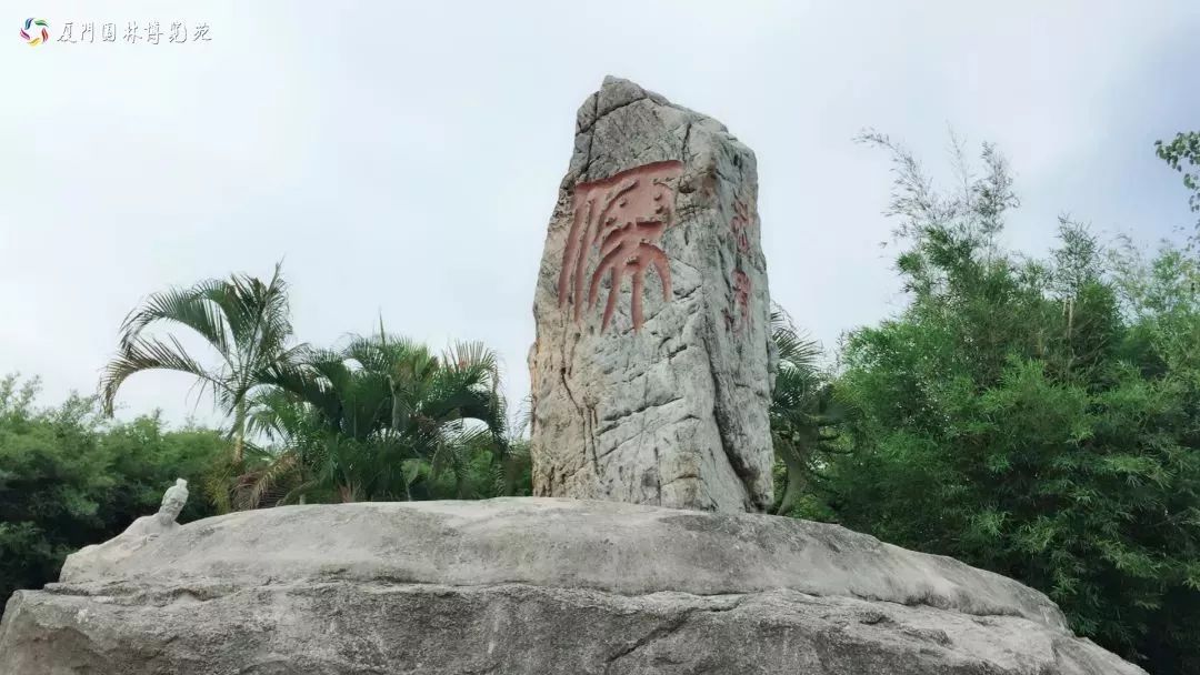 厦门适合带孩子去玩的地方推荐,厦门6月份哪里好玩