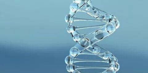 晒一天太阳就黑了怎样变白,暴晒一天晒黑了