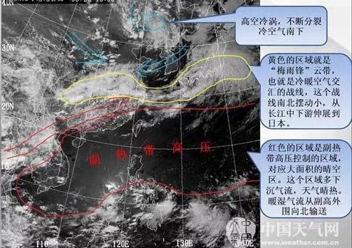 近期觉得又闷又湿？不如来一份“话”梅！