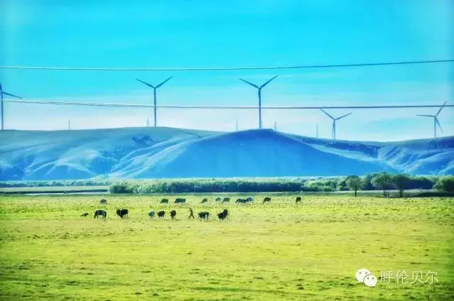 呼伦贝尔旅游区,呼伦贝尔旅游景点大全地图