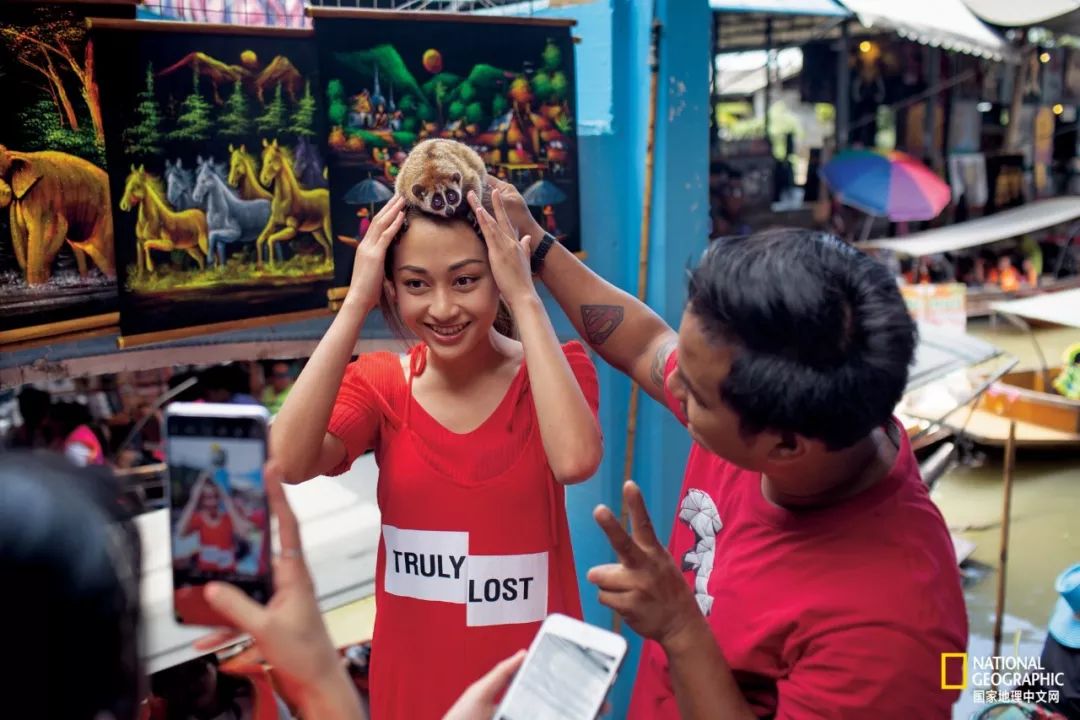 濒临灭绝的野生动物表演,动物表演的背后有多残忍