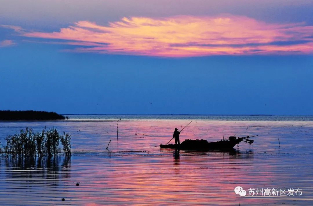 请回答2017,请回答2020总结