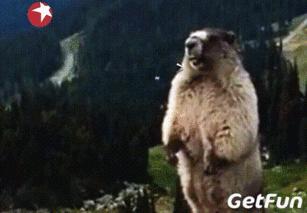 海城最近几天停电通知,鞍山今日停电信息