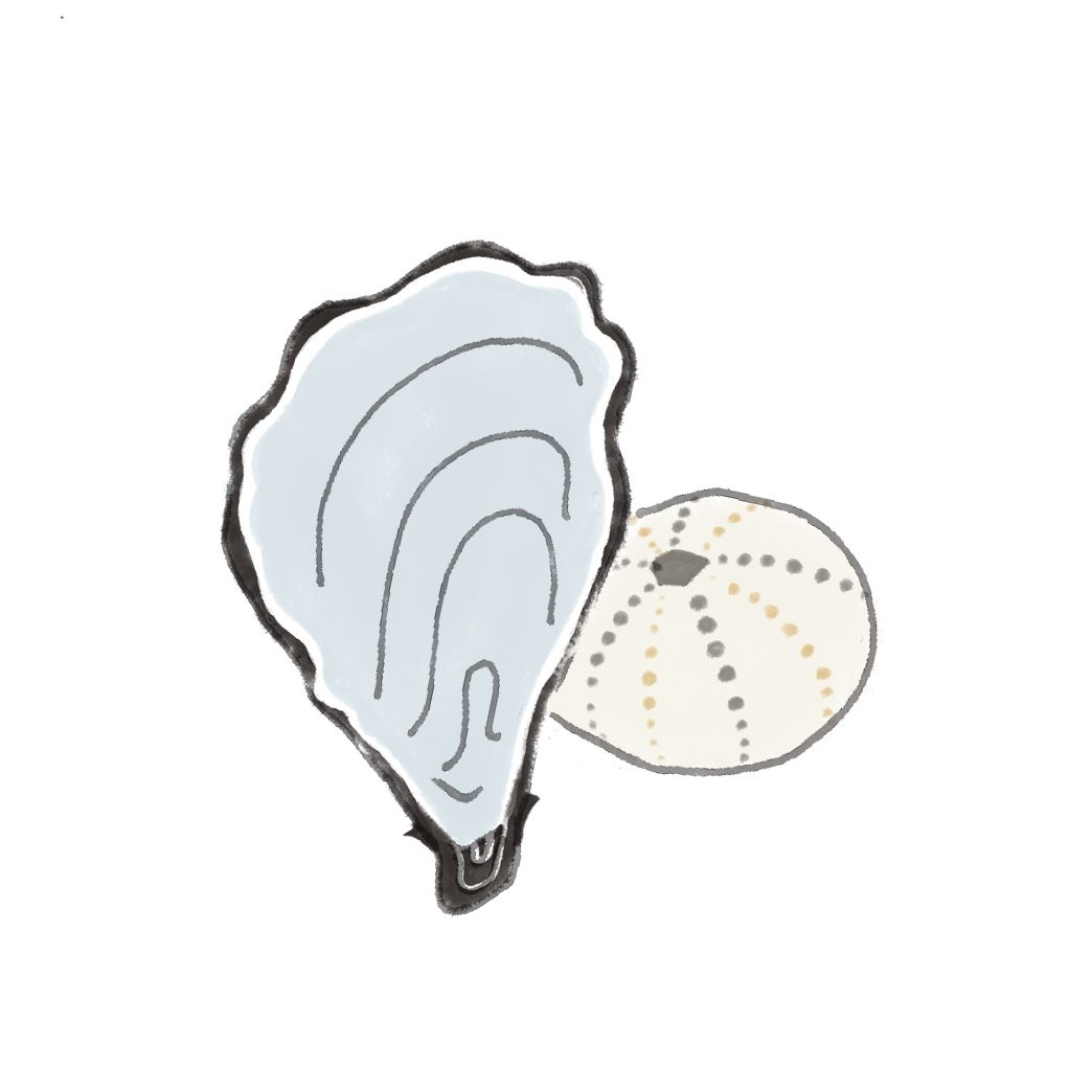 垃圾分类手册的教程,垃圾分类讲解的提纲