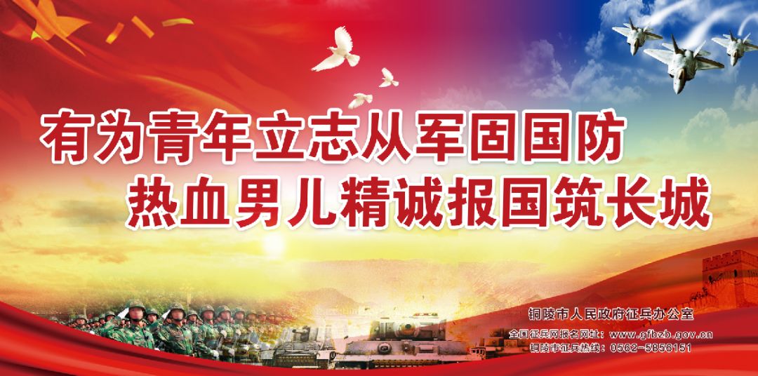 铜官区小学分布图,2019年铜官山初中学区划分