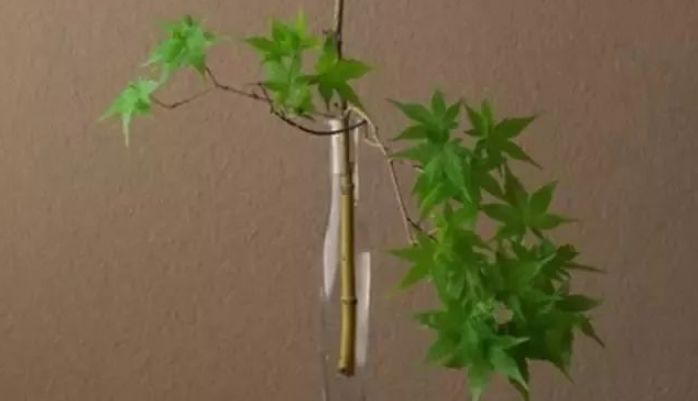 为什么有人活了六七十岁还不明白,为什么有的人六七十了还那么年轻