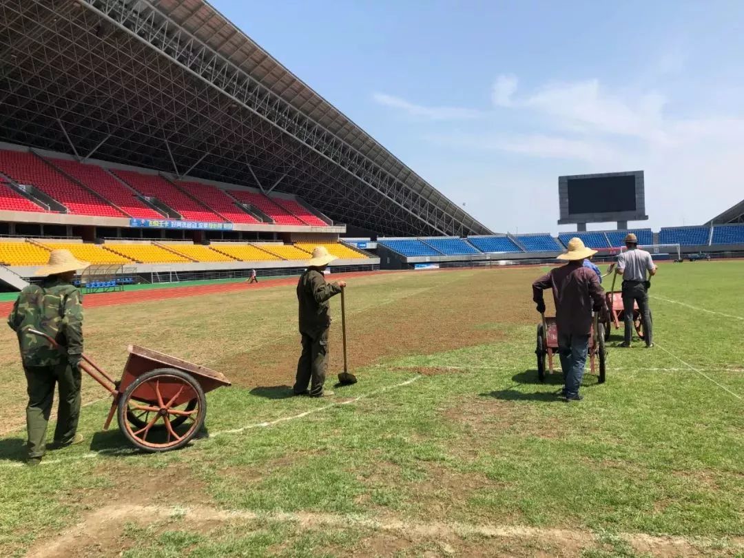 天津体育场草坪养护管理,合肥体育场草坪养护服务