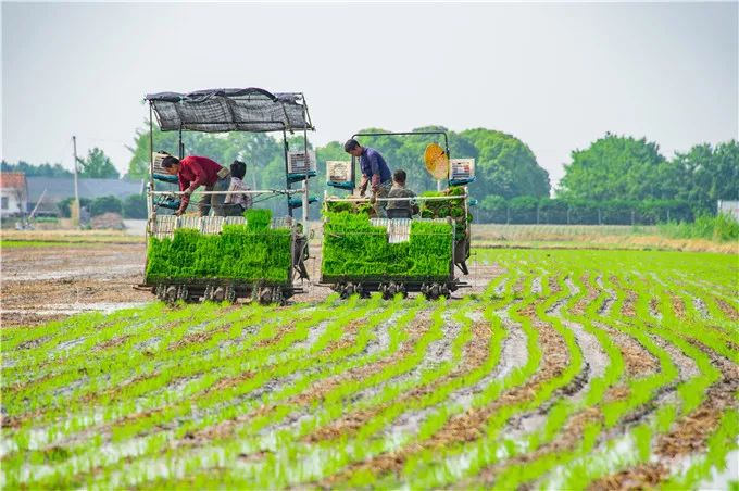 视觉一周,视觉眼镜张家港
