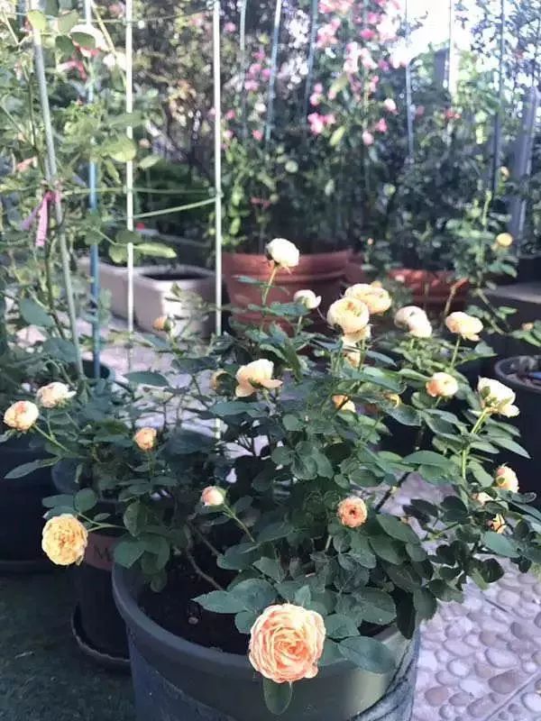 打造美好幸福的家,打造一片天地