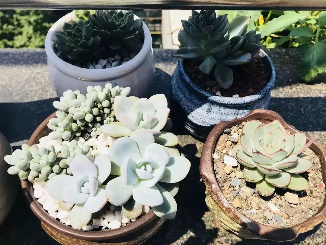 打造美好幸福的家,打造一片天地