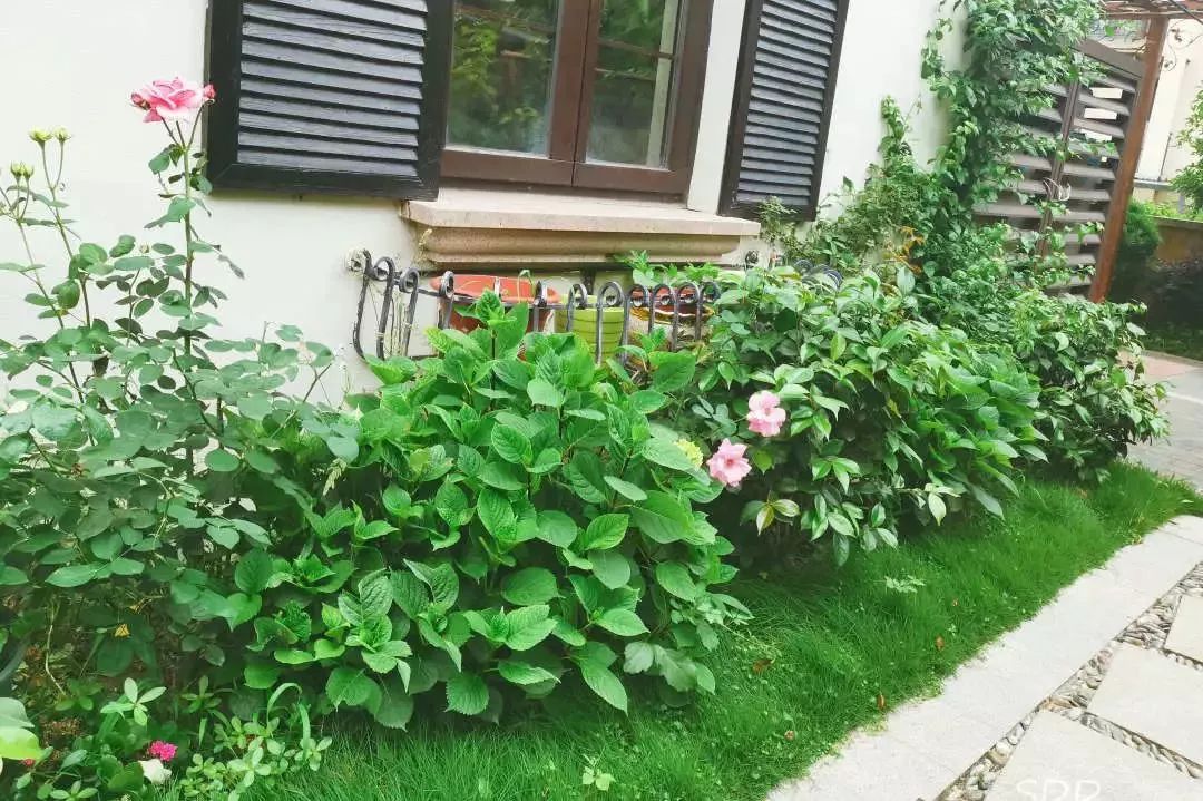 打造美好幸福的家,打造一片天地