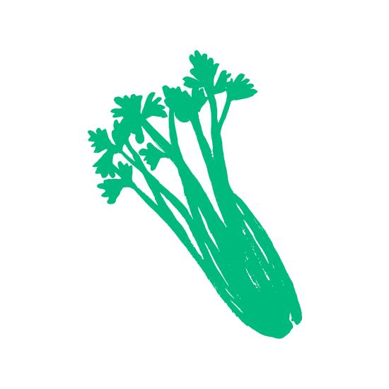 来西双版纳，做大自然的学生|雅居乐·西双林语夏令营开始报名啦