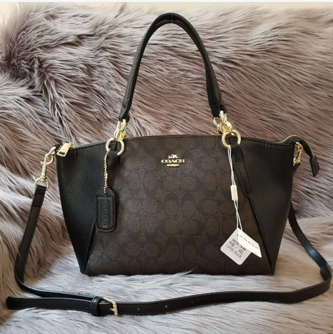 coach恐龙变身,fashion艺术家