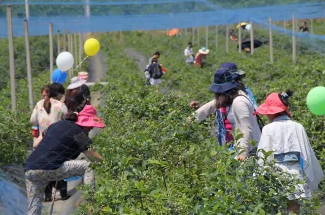 滁州大动作规划,滁州下周有什么发展