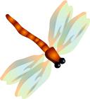 净网2019人员注意事项,净网的十大注意事项