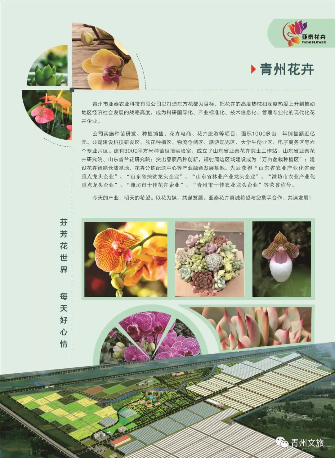 青州有什么商品,青州旅游购物