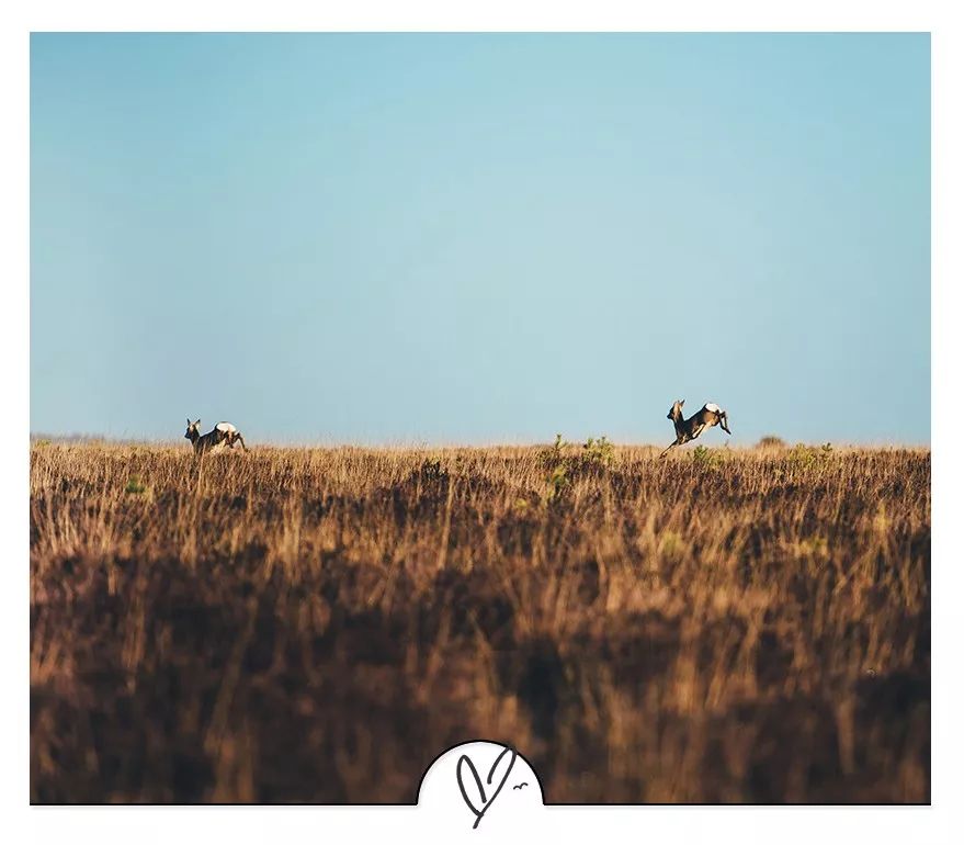 李宗盛最沧桑的十首歌完整版,为什么说听李宗盛的歌已是不惑年