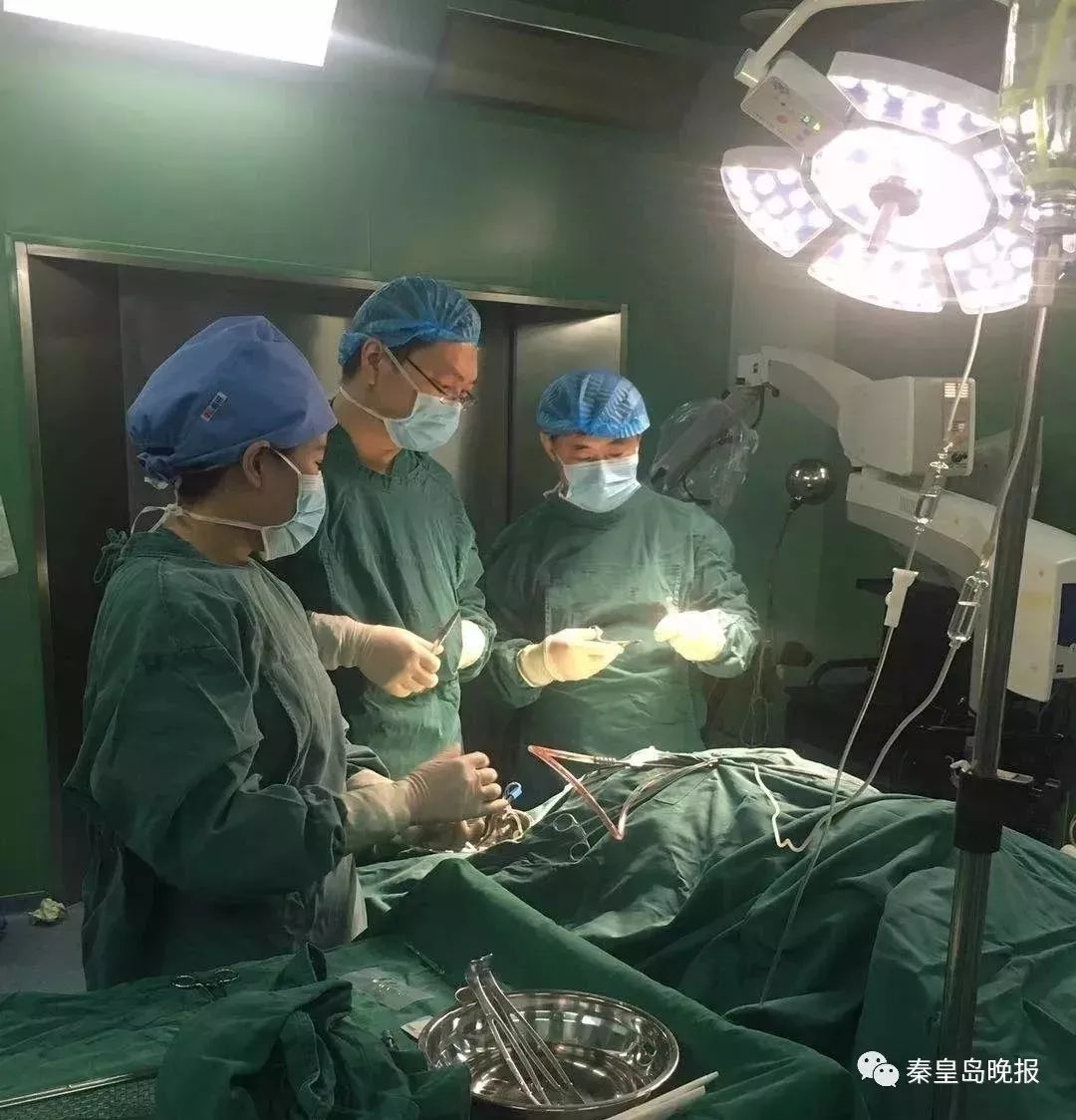 鐑熷彴娴锋腐鍖婚櫌涔夎瘖,娴锋腐鍖婚櫌涔夎瘖