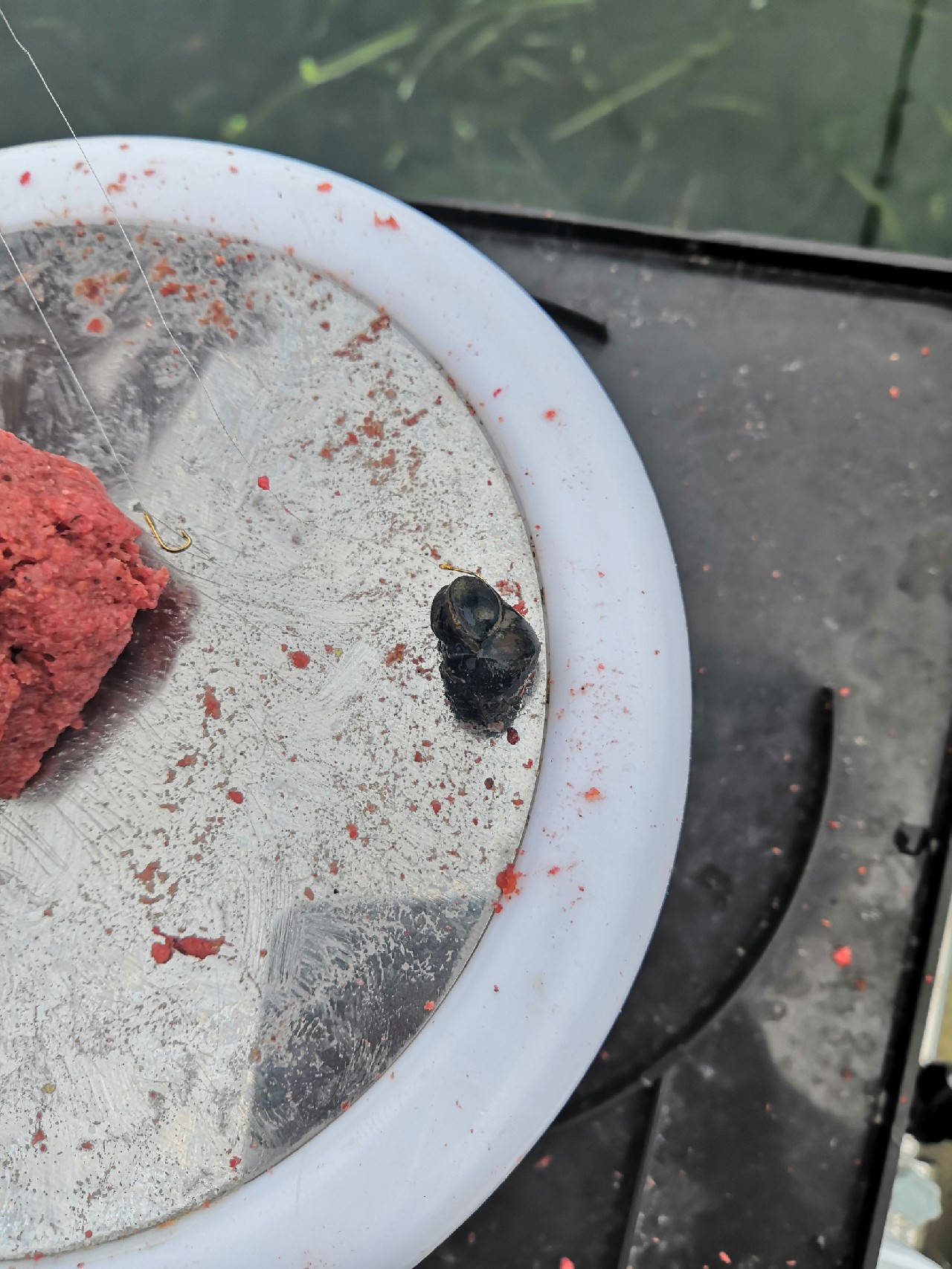 首钓笤溪钓位全靠枪逛拉逆鱼兼钓获多鱼种~