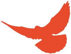 沿海公路速度与激情,环中国速度与激情