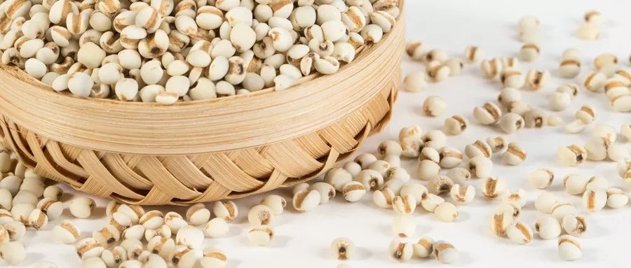 梅姑娘回城注意事项,梅姑娘什么病