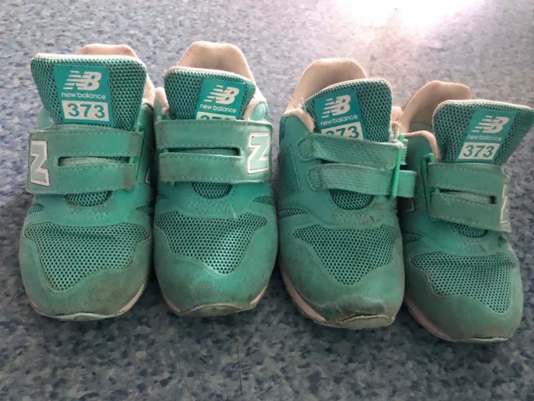 百合花课程,百合花课堂导入