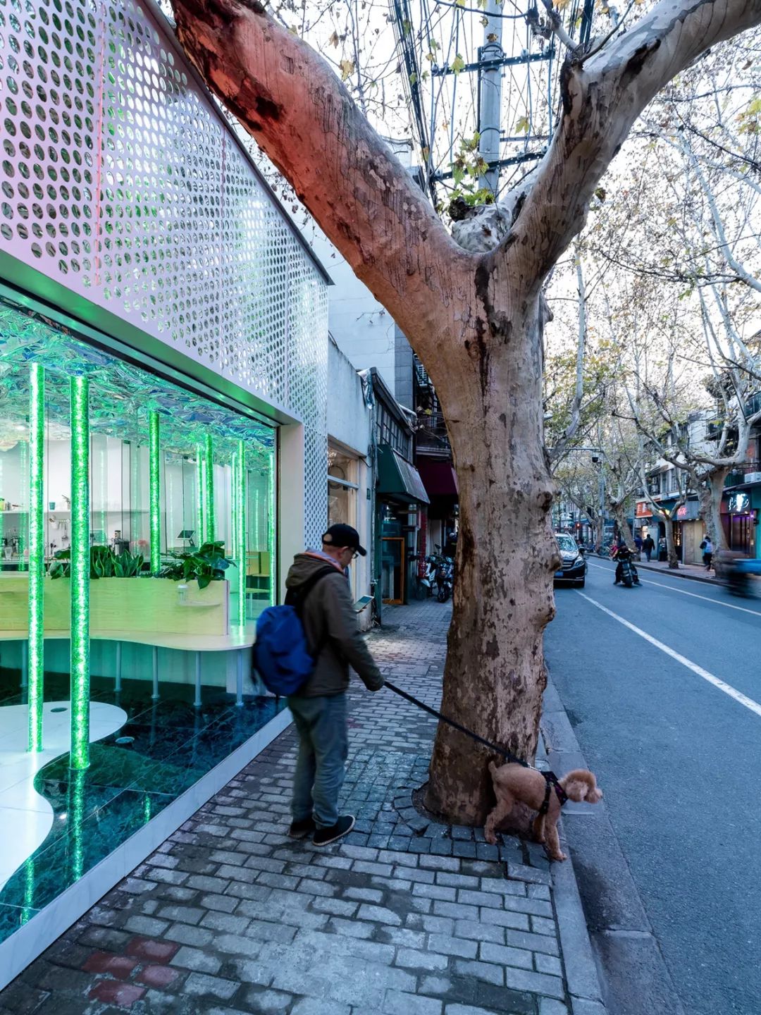 夏天来喝夏天的一杯奶茶,夏天在森林里喝咖啡