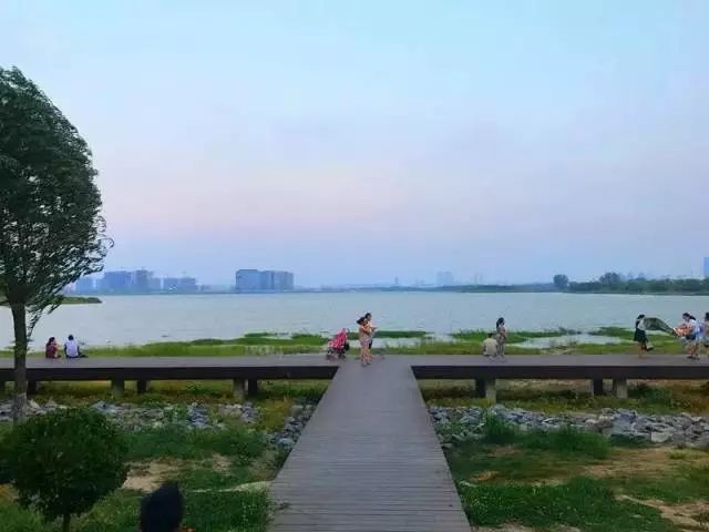 郑州湿地公园有啥好玩的,郑州周边的这七大湿地公园