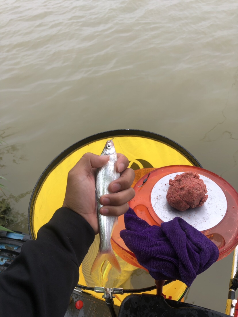 初春河流大水面野钓,大水面滑漂野钓