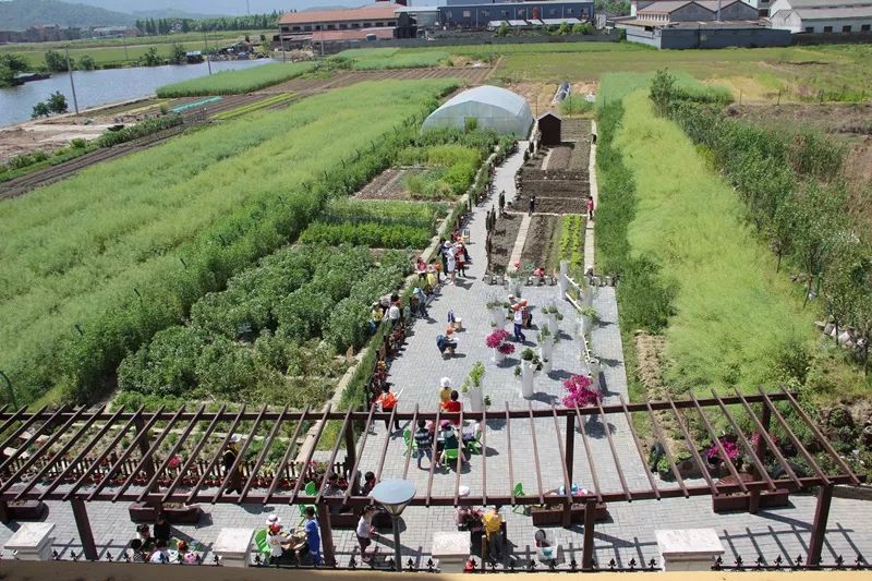 如何缓解城市幼儿入园难的问题,入园难问题是怎么解决的