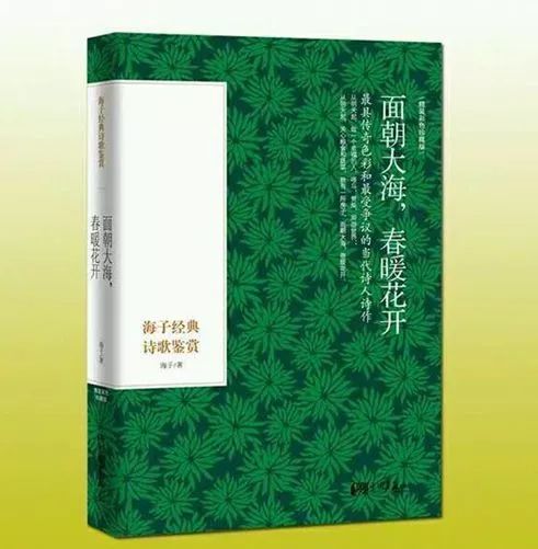 海洋夏令营,2017北戴河夏令营