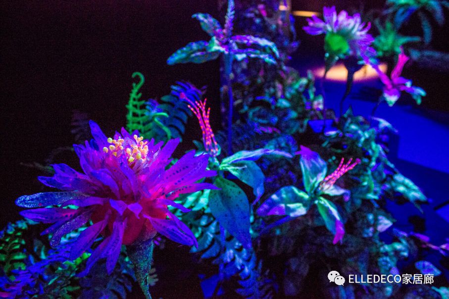 迪士尼做家具？在家也能星球大战了|DECO设计周报