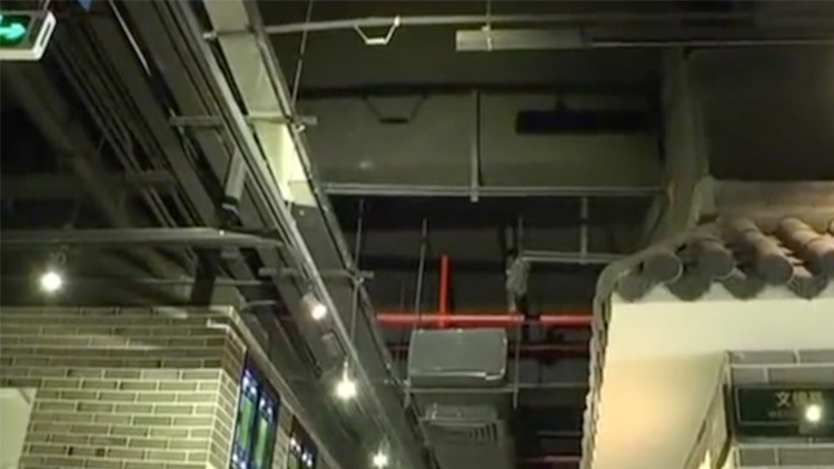 女子吃火锅天降老鼠,女子就餐老鼠爬在身上