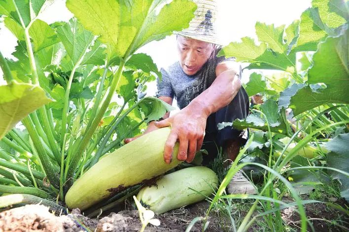 6月24日邯郸新闻早餐