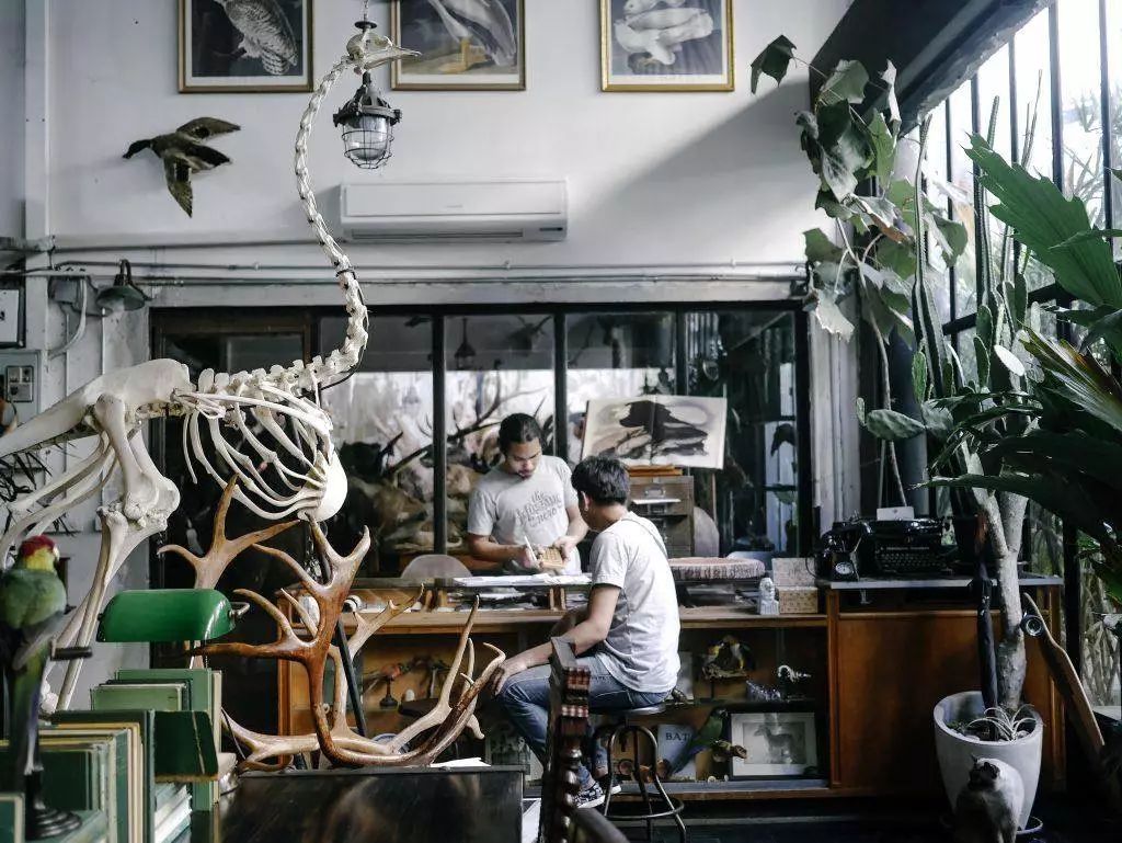 当代年轻人开房规定,年轻人开房规定