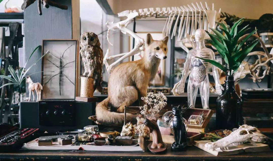 当代年轻人开房规定,年轻人开房规定