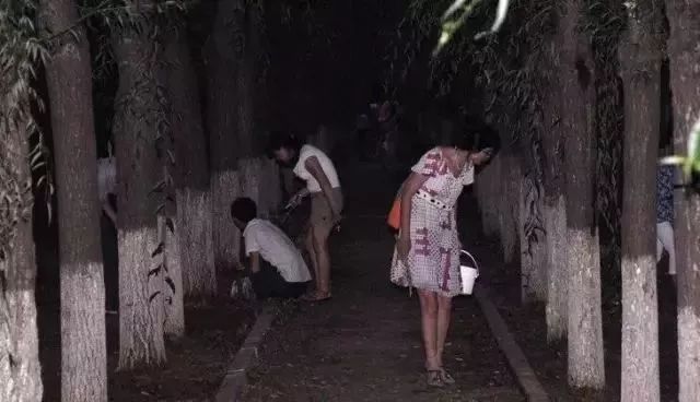 淮阳抓爬蚱,河南的爬蚱壳多少钱一斤