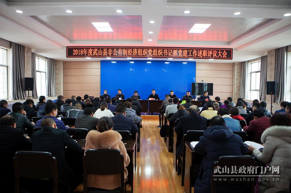 武山党建,武山县党建工作会议