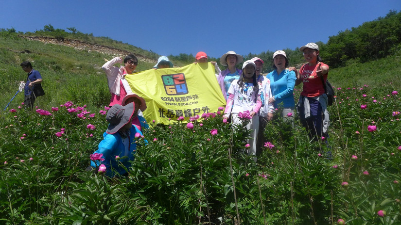 美丽芍药谷,云雾缭绕人间仙境芍药谷