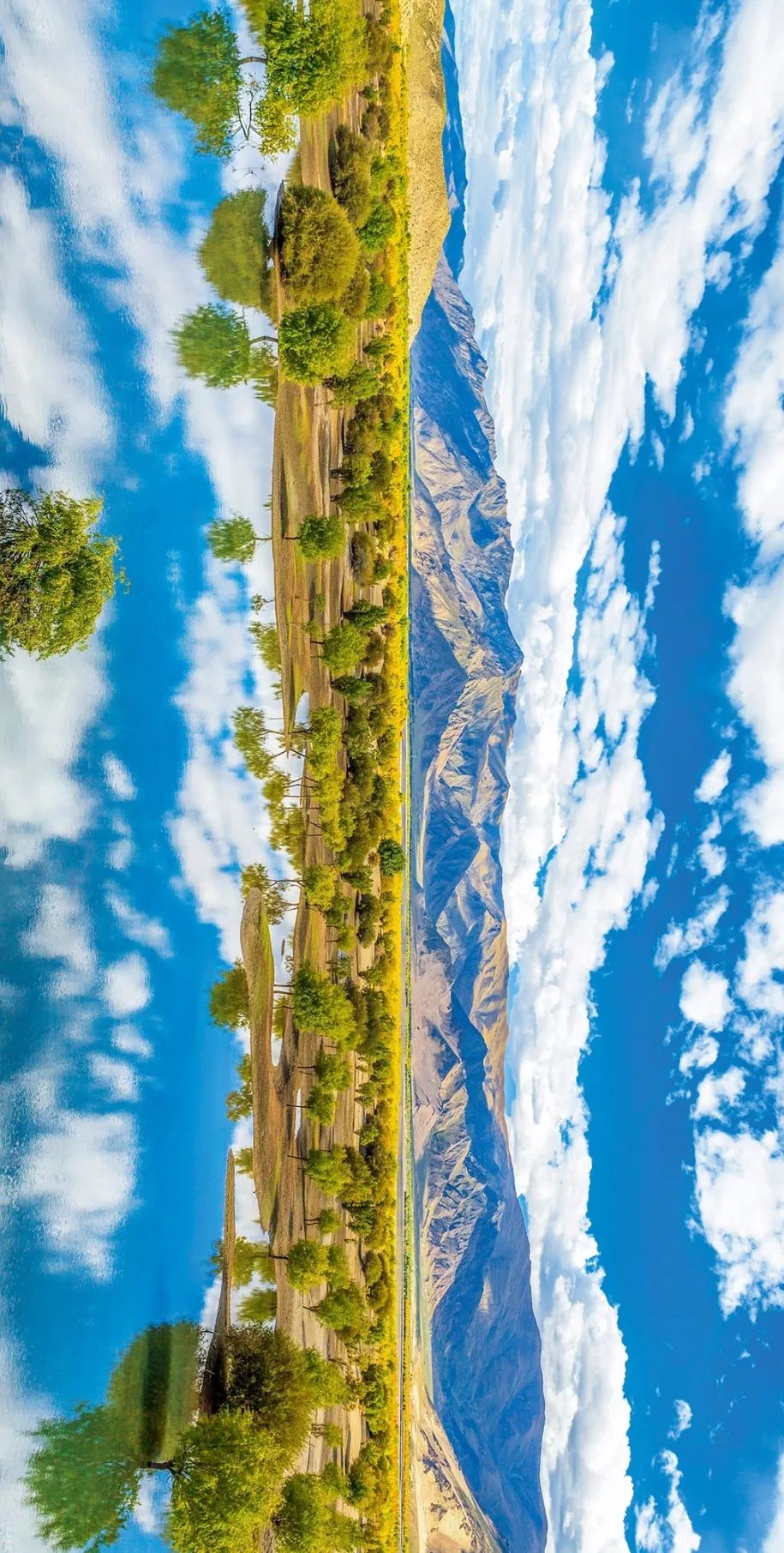 山南在哪里买手机,山南在哪里卖黄金