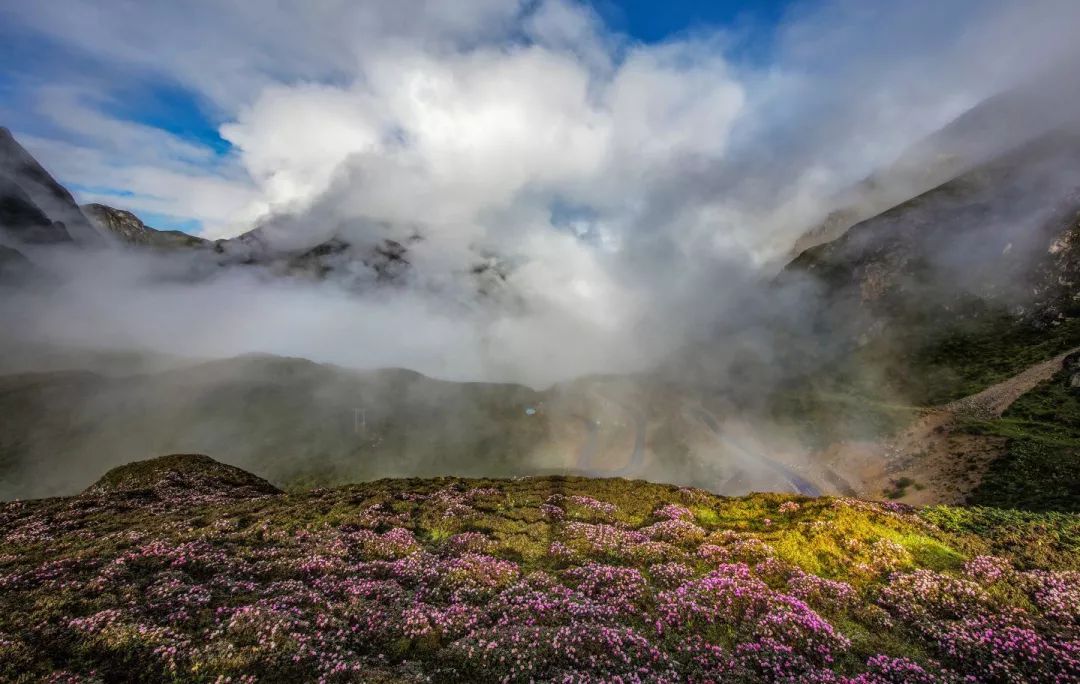 山南在哪里买手机,山南在哪里卖黄金